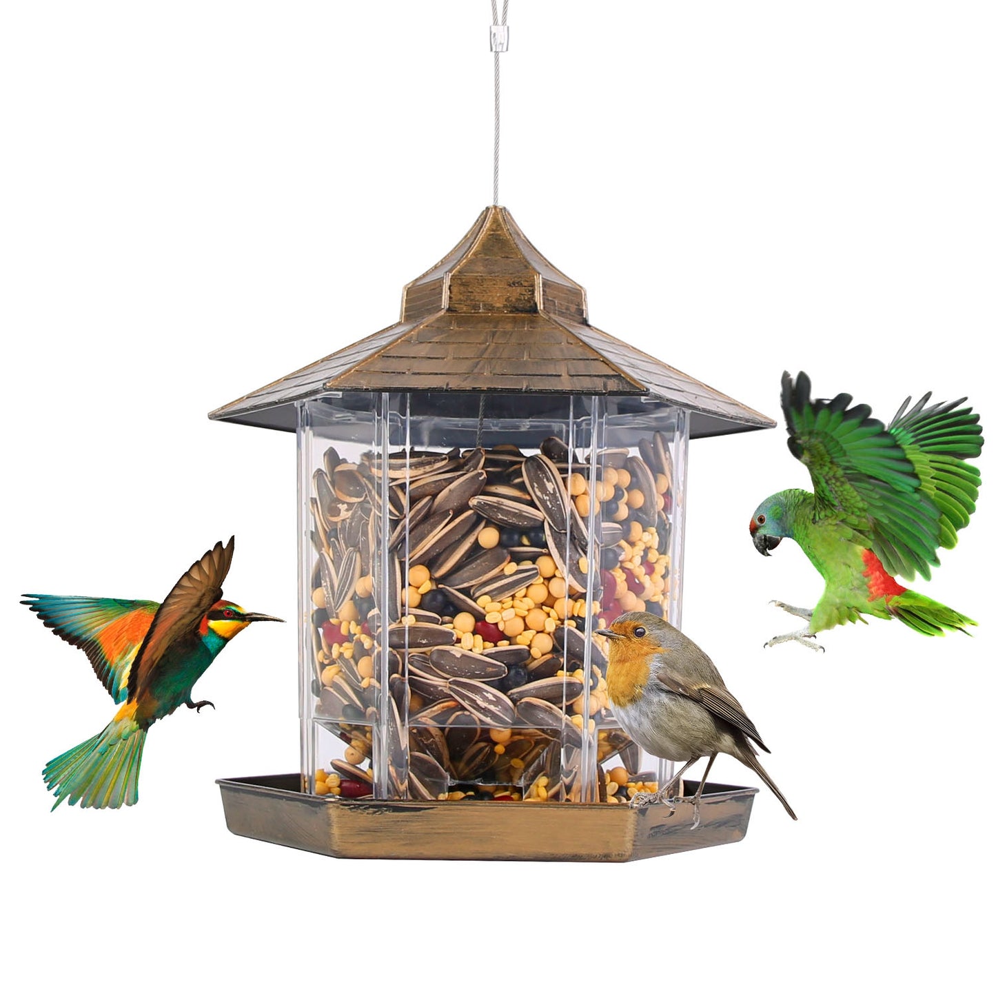 Gazebo Wild Bird Feeder - Large-Capacity 6-Port Hanging Station