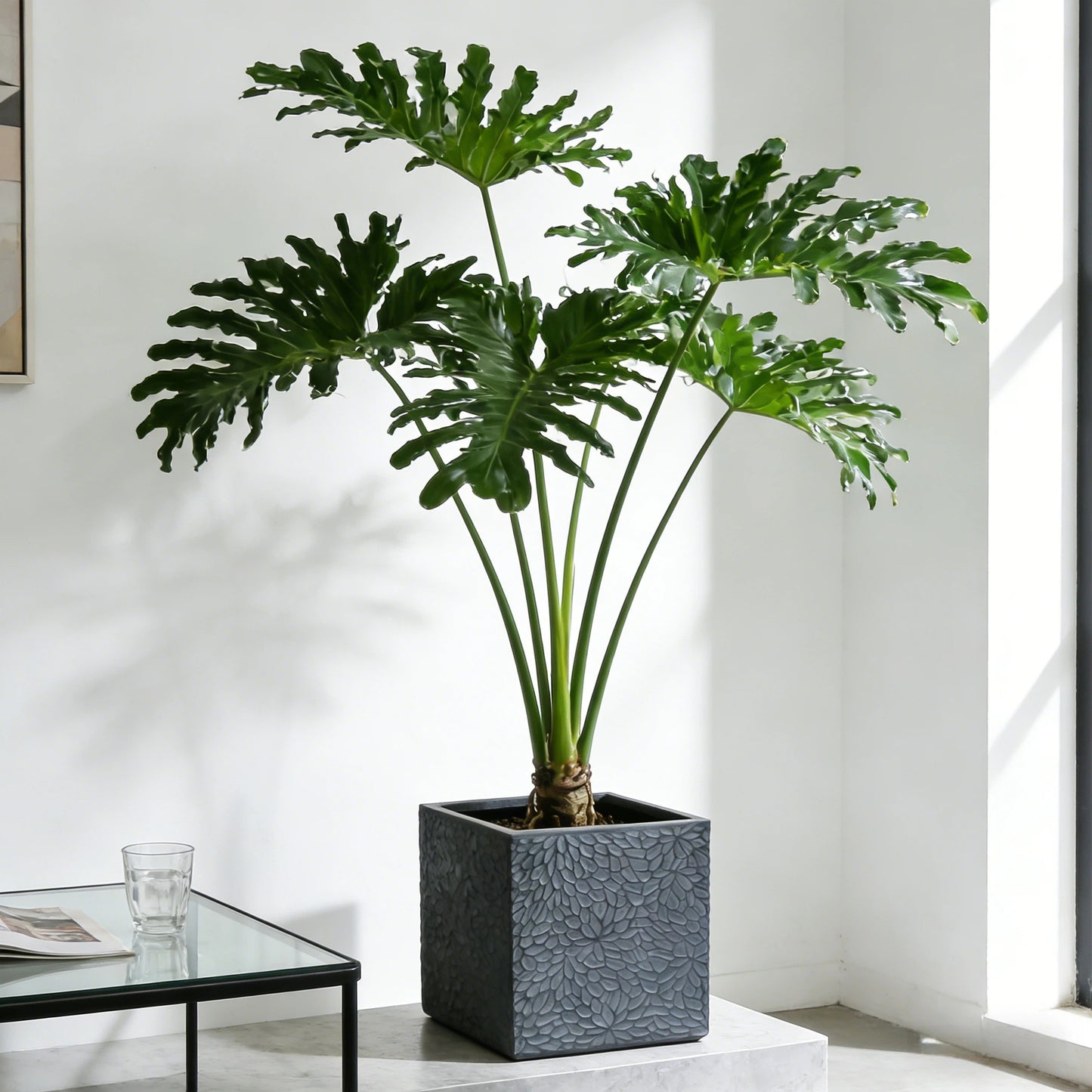 Square Magnesium Oxide Planter Set - 4 Sizes, Indoor/Outdoor