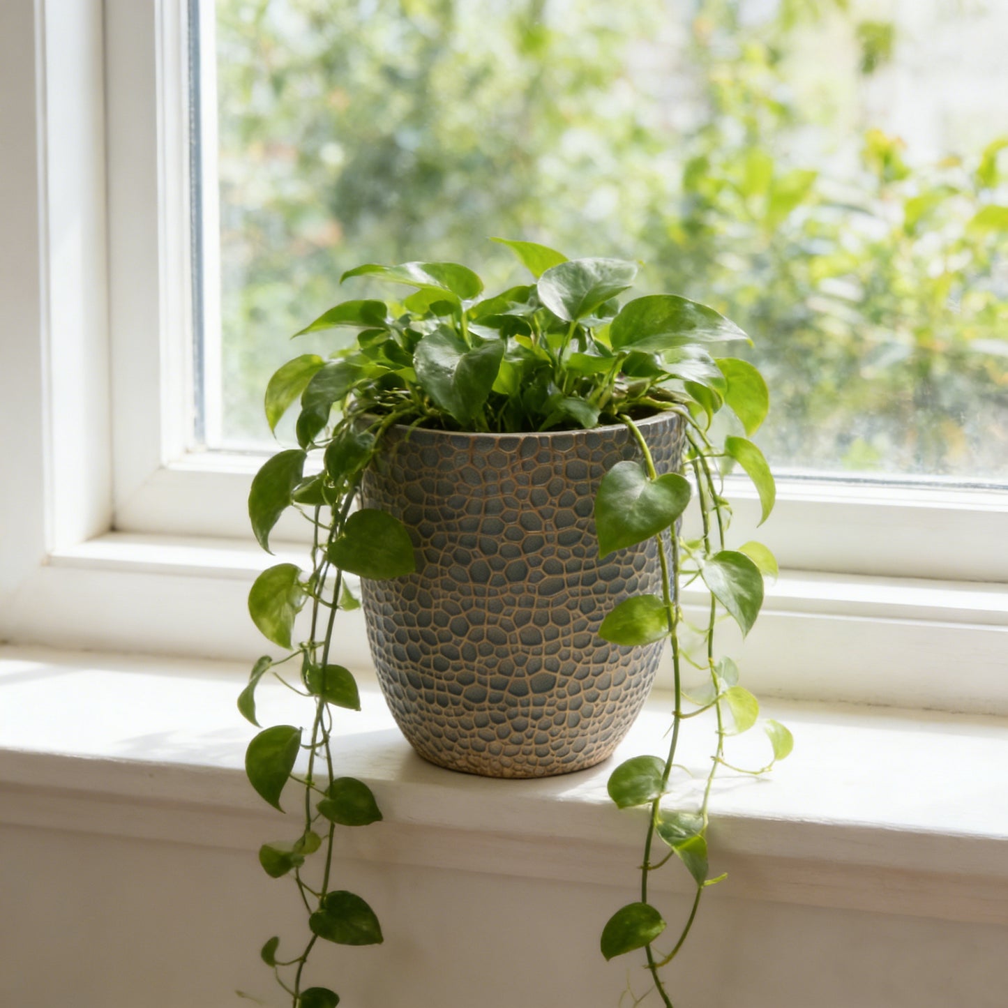 Round Magnesium Oxide Planter Set - 3 Sizes, Indoor/Outdoor