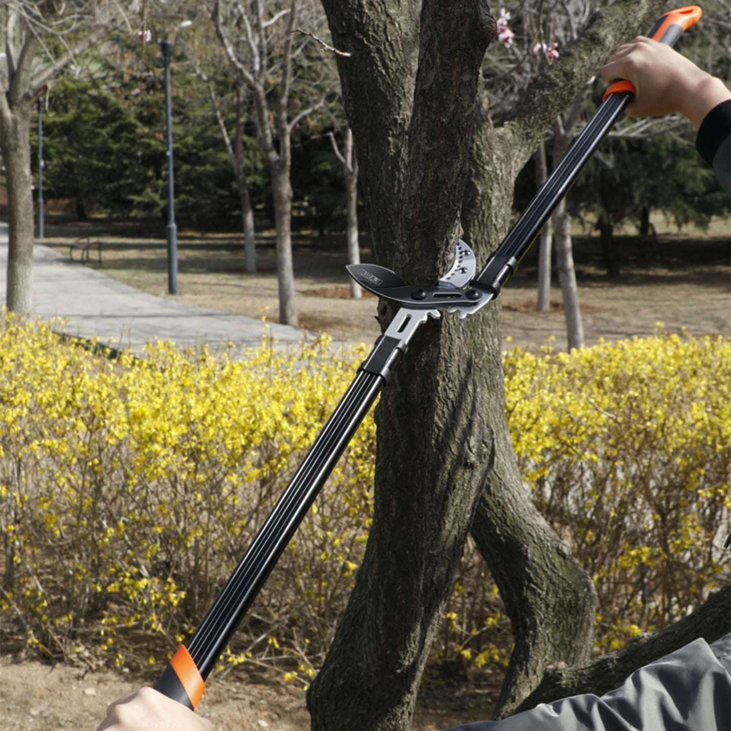 Gardening Branch Pruning Shears - Specialized Scissors