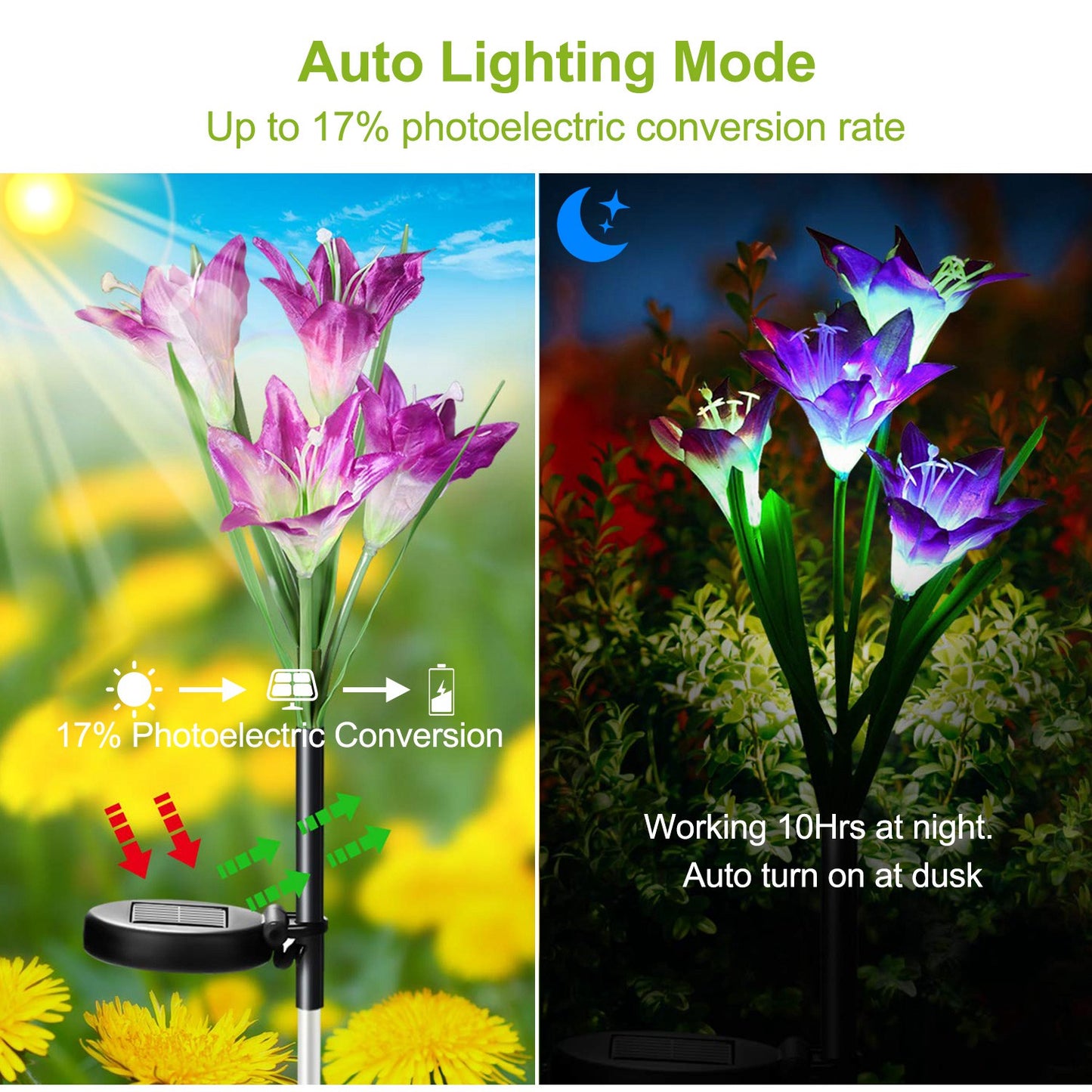 Solar Lily Flower Pathway Lights - 7-Color IP65 Waterproof