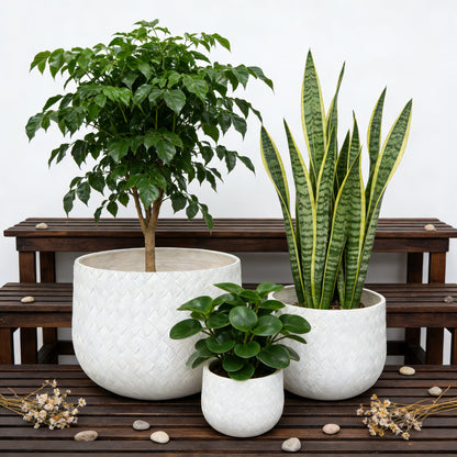 Round Planter Set of 3 - Magnesium Oxide, 8in/14in/22in