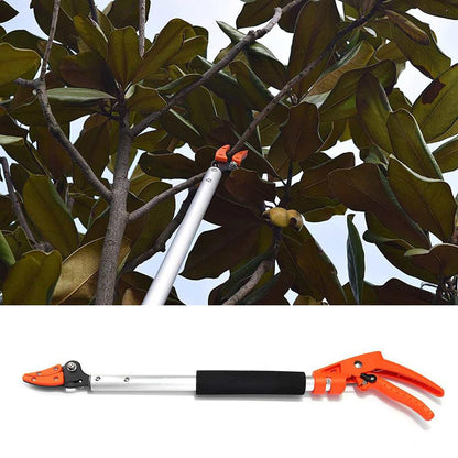 Fruit Tree Pruning Scissors - Precision Garden Cutters