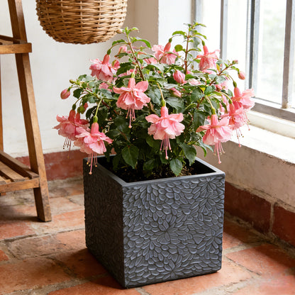 Square Magnesium Oxide Planter Set - 4 Sizes, Indoor/Outdoor