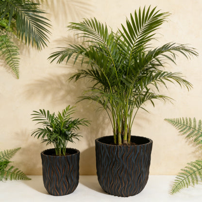 Round Magnesium Oxide Planter Pair - Lightweight Indoor/Outdoor