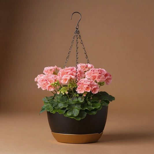 Self-Watering Hanging Planter 9.6in - With Drainage Holes