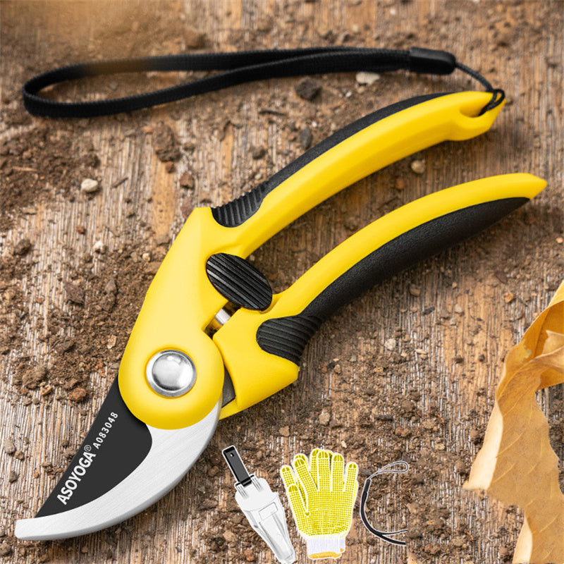 Fruit Tree Branch Pruning Shears - Long-Reach Cutting Tool