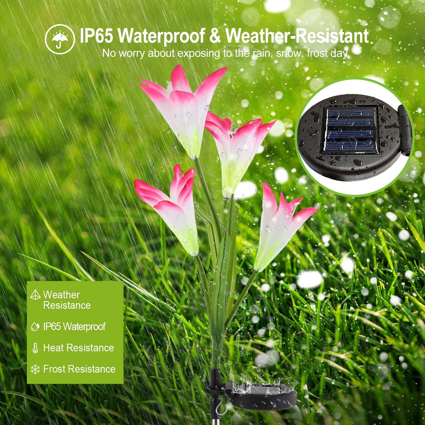 Solar Lily Flower Pathway Lights - 7-Color IP65 Waterproof