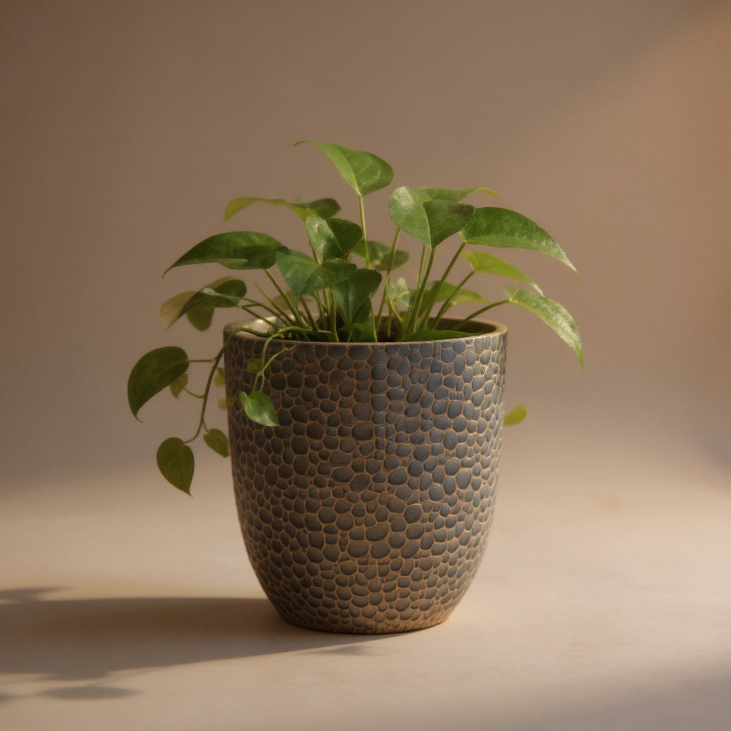 Round Magnesium Oxide Planter Set - 3 Sizes, Indoor/Outdoor