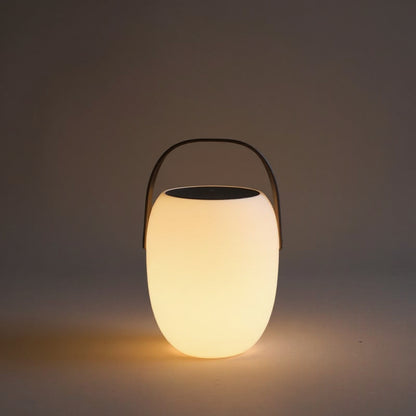 Portable Solar Courtyard Lamp - Outdoor Decorative Light