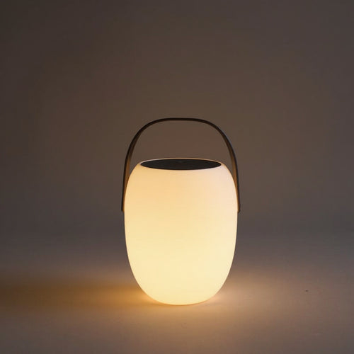 Portable Solar Courtyard Lamp - Outdoor Decorative Light
