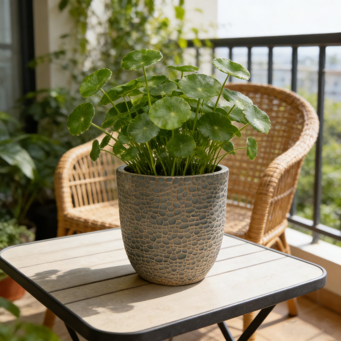 Round Magnesium Oxide Planter Set - 3 Sizes, Indoor/Outdoor