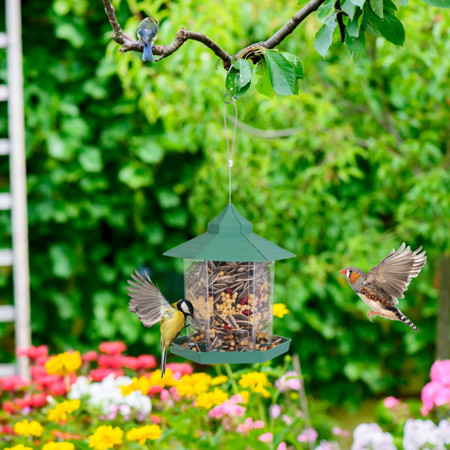 Gazebo Wild Bird Feeder - Large-Capacity 6-Port Hanging Station