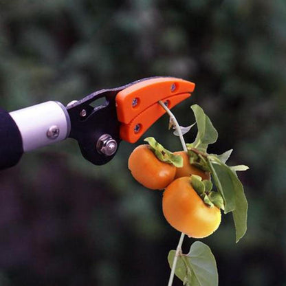 Fruit Tree Pruning Scissors - Precision Garden Cutters
