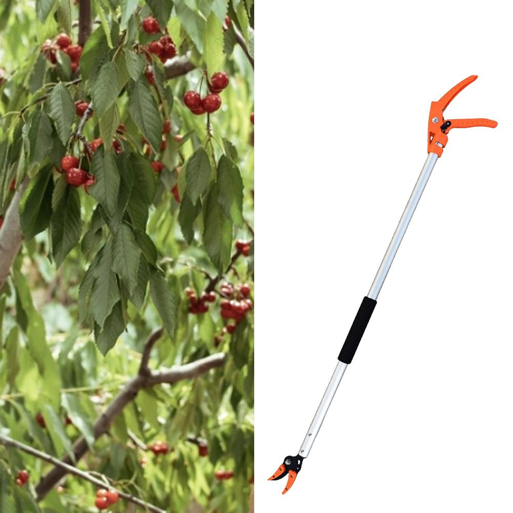 Fruit Tree Pruning Scissors - Precision Garden Cutters